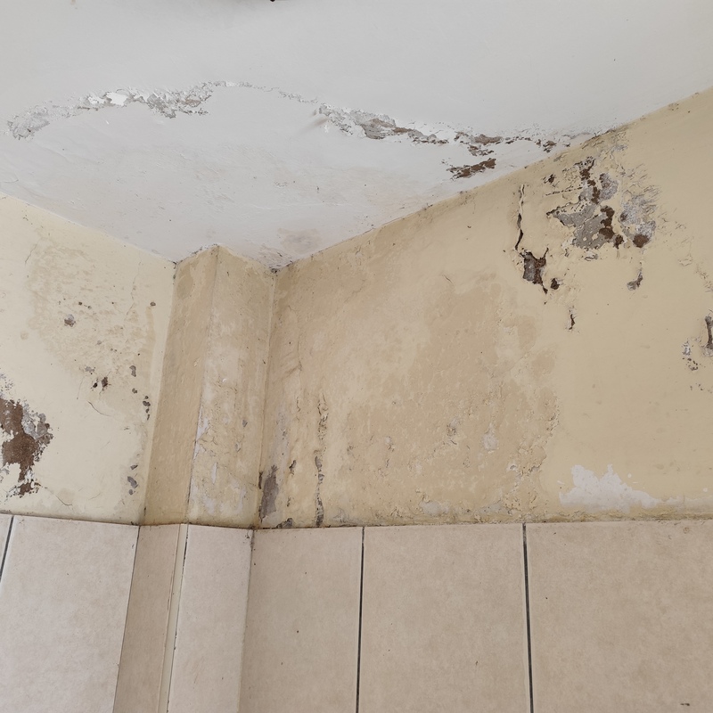 Dampness treatment